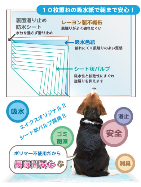 １０枚重ねの吸水力で朝まで安心