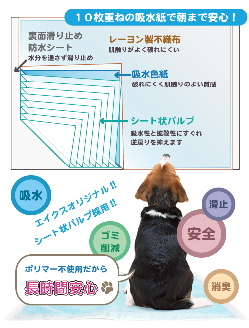 10枚重ねの吸水力で朝まで安心