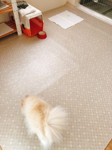 ウォッシャブルシーツ「タフ」